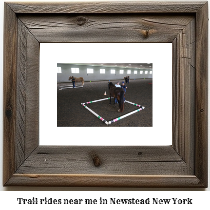 trail rides near me in Newstead, New York